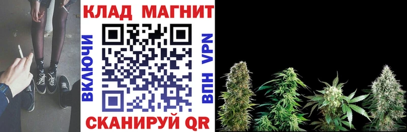  Кокаин Салехард