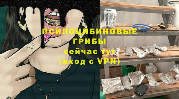 бошки Алексеевка