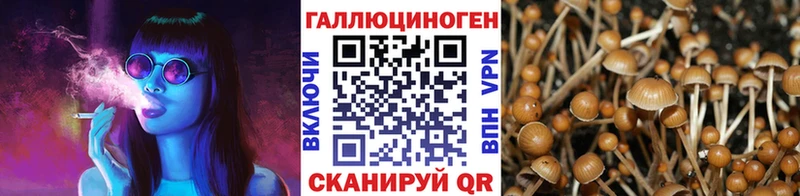 Псилоцибиновые грибы прущие грибы  Салехард 